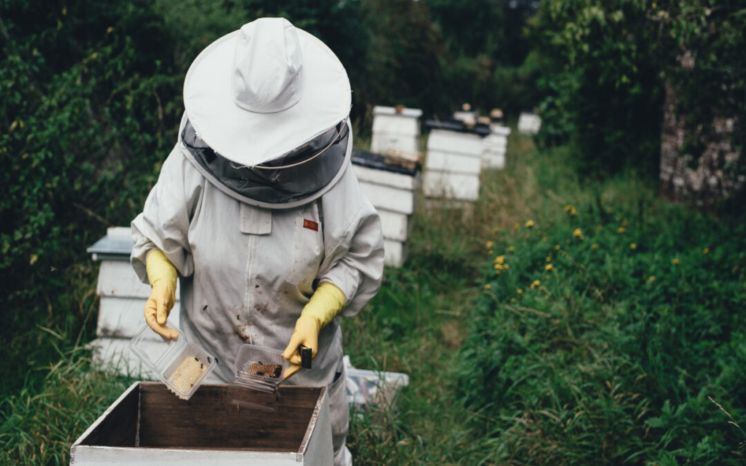 Beekeeper Supplies